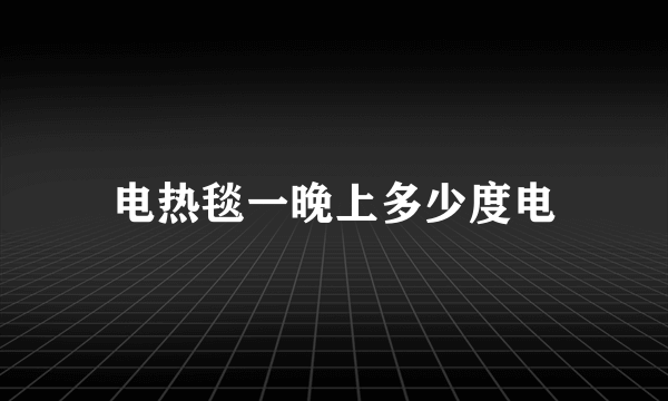 电热毯一晚上多少度电