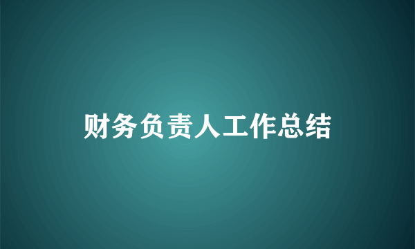 财务负责人工作总结