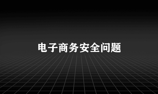 电子商务安全问题