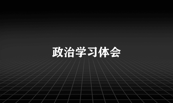 政治学习体会