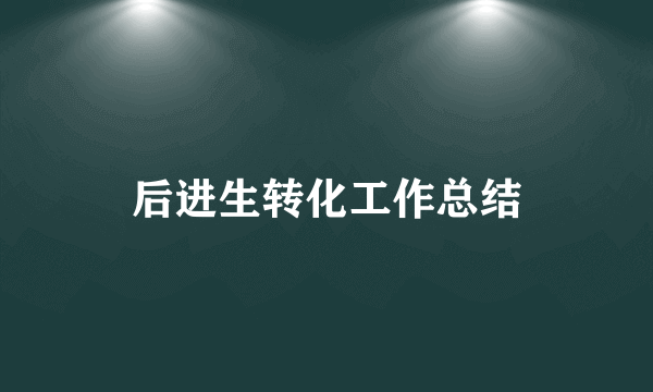 后进生转化工作总结