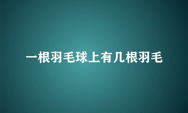一根羽毛球上有几根羽毛