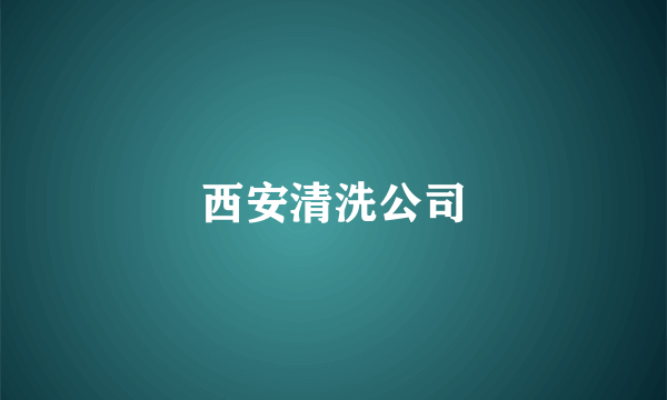 西安清洗公司
