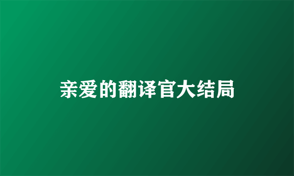 亲爱的翻译官大结局