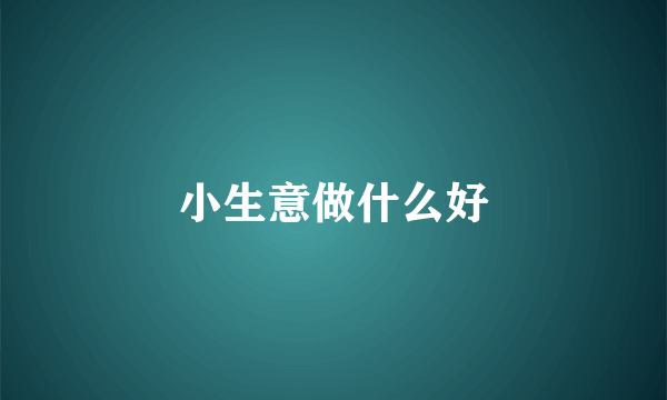 小生意做什么好