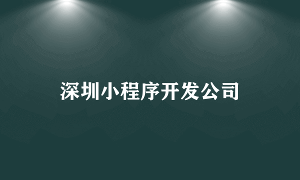 深圳小程序开发公司