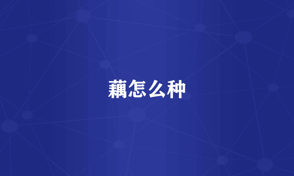 藕怎么种