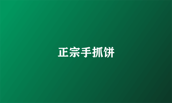 正宗手抓饼