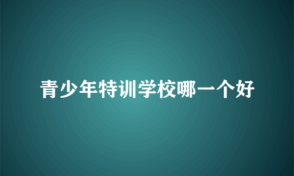 青少年特训学校哪一个好