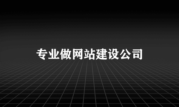 专业做网站建设公司