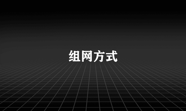 组网方式