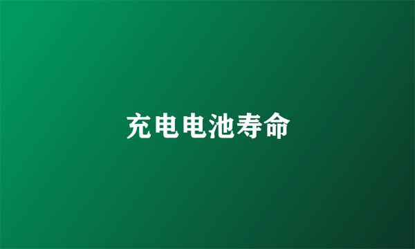 充电电池寿命