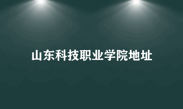 山东科技职业学院地址