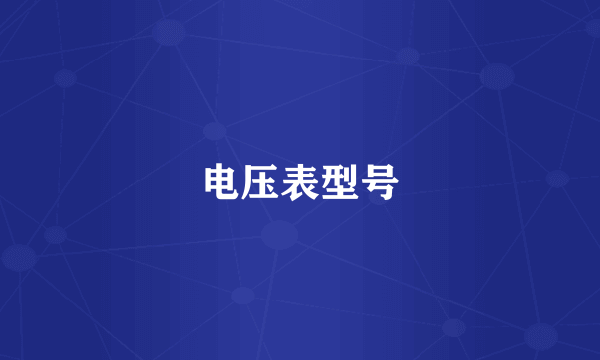 电压表型号