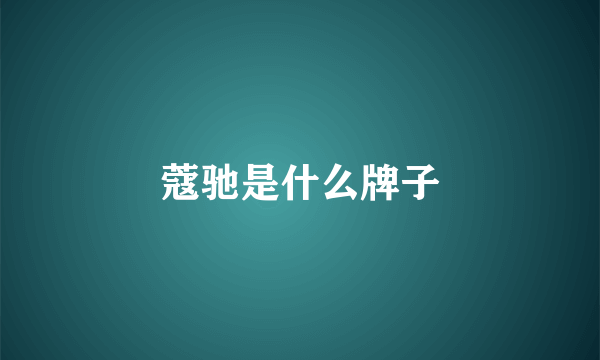 蔻驰是什么牌子