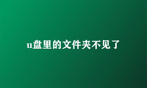 u盘里的文件夹不见了