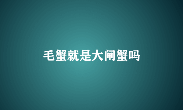 毛蟹就是大闸蟹吗
