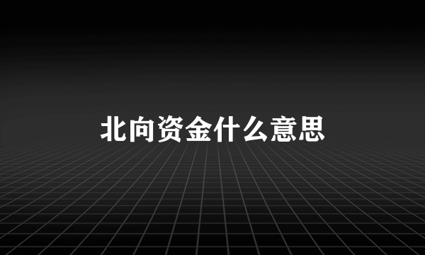 北向资金什么意思