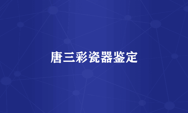 唐三彩瓷器鉴定