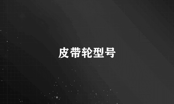皮带轮型号