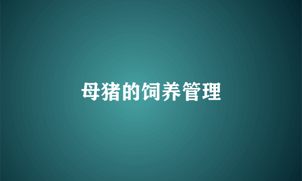 母猪的饲养管理