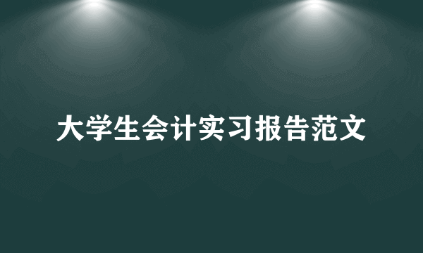 大学生会计实习报告范文
