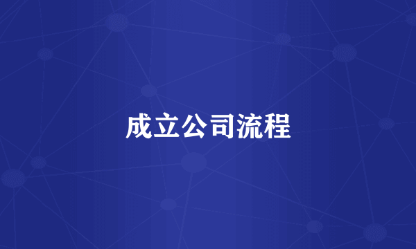 成立公司流程