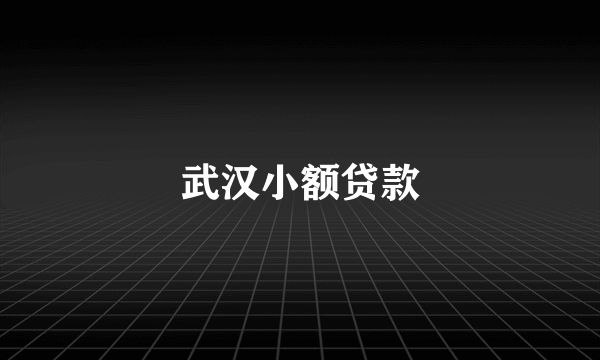 武汉小额贷款