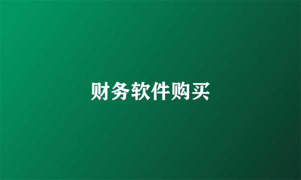 财务软件购买