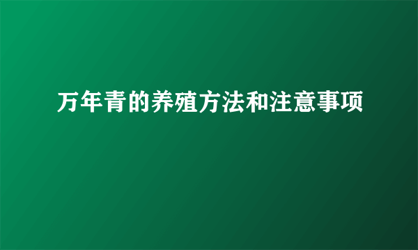 万年青的养殖方法和注意事项