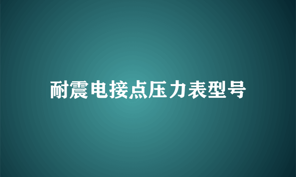 耐震电接点压力表型号