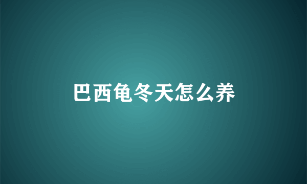 巴西龟冬天怎么养