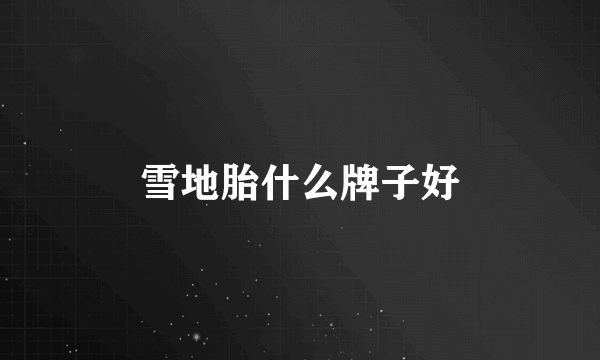 雪地胎什么牌子好