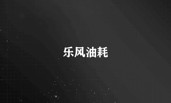 乐风油耗