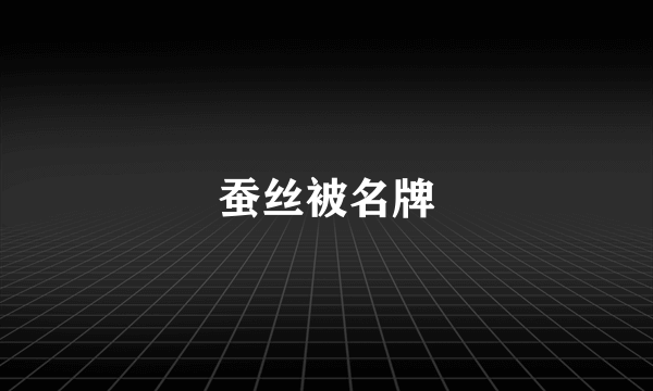蚕丝被名牌