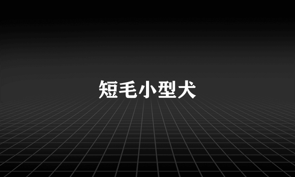 短毛小型犬