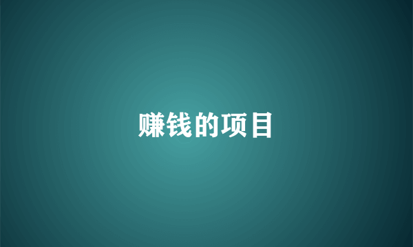 赚钱的项目