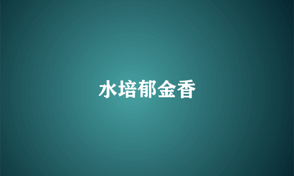 水培郁金香