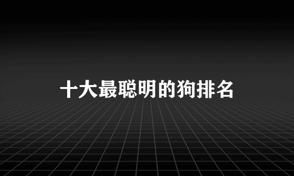 十大最聪明的狗排名