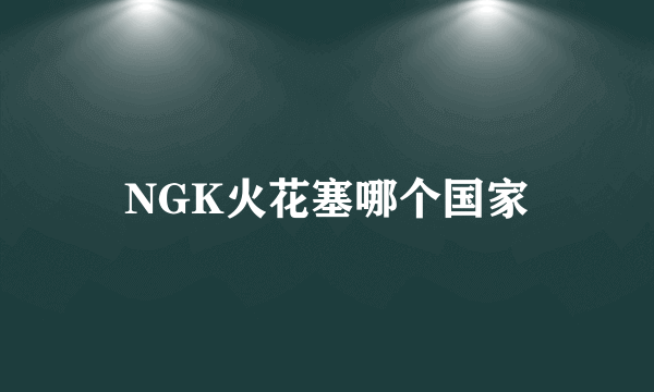 NGK火花塞哪个国家