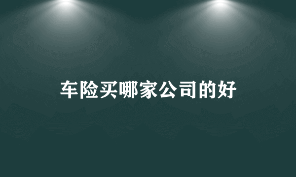 车险买哪家公司的好