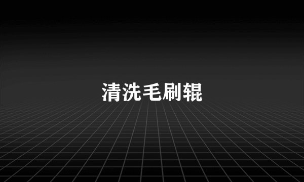 清洗毛刷辊