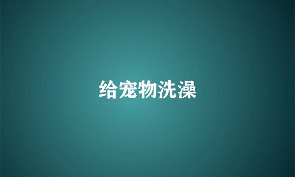 给宠物洗澡