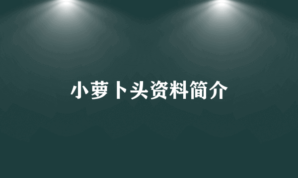 小萝卜头资料简介