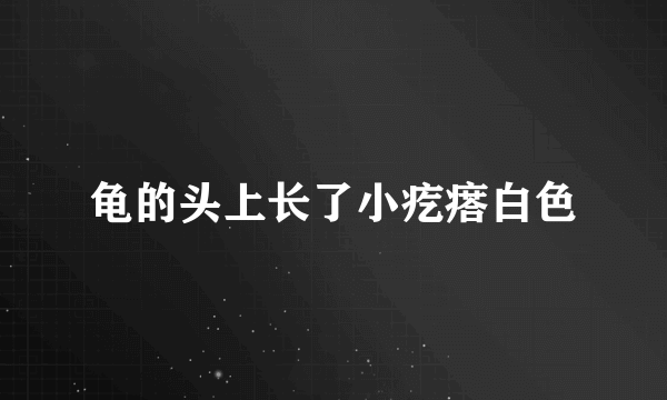 龟的头上长了小疙瘩白色
