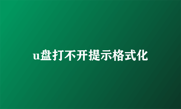 u盘打不开提示格式化