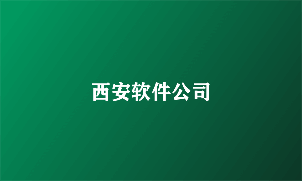 西安软件公司