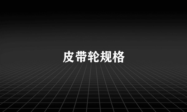 皮带轮规格