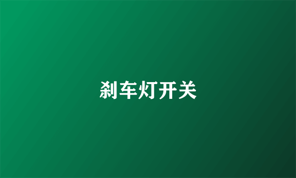 刹车灯开关