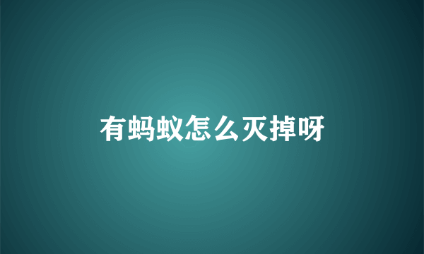有蚂蚁怎么灭掉呀